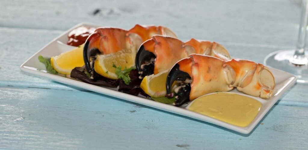 Top 10 Beachfront Restaurants In Key Largo 2023 Guide
