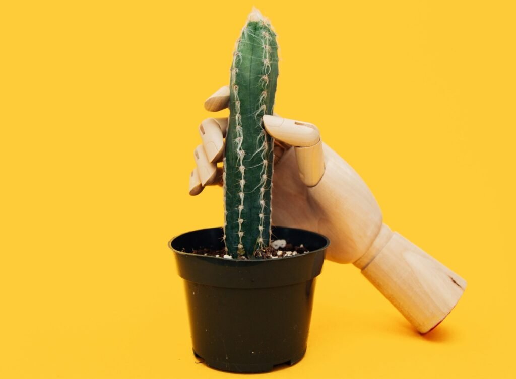 Why Do We Masturbate? Saying Goodbye To No Nut November