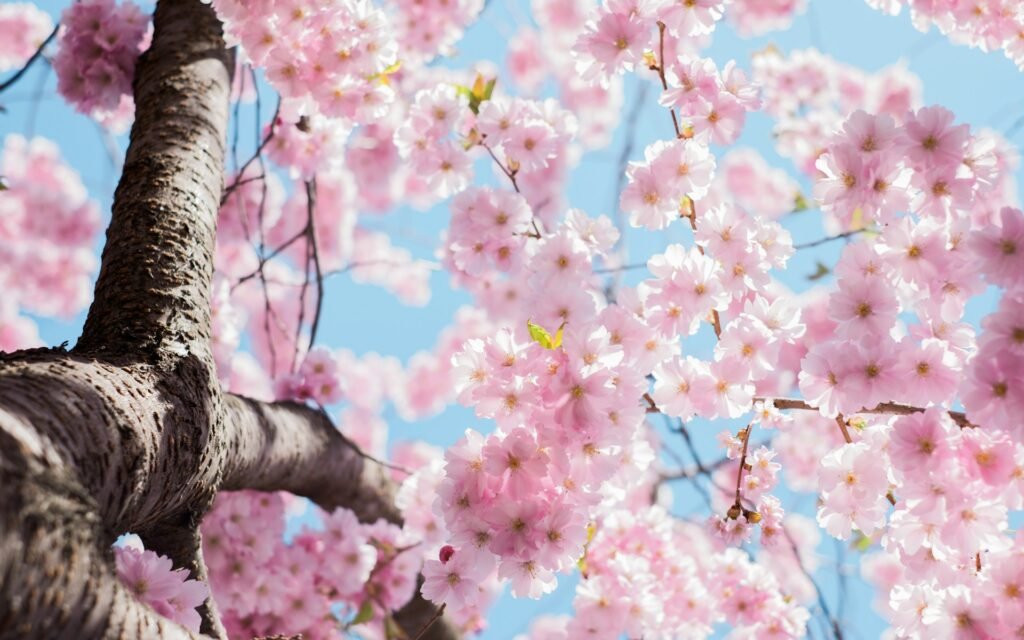 Spring Clothes; Build Your Affordable Capsule Wardrobe